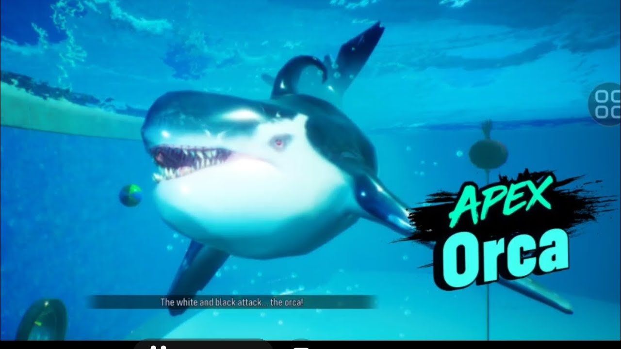 Saatnya menghadapi Ikan Paus - MANEATER - Part 14