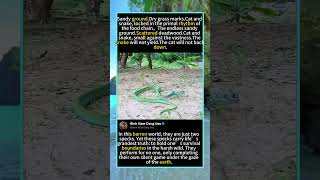 The Most Intense Wildlife Encounter You’ll See Today#foryou #fyp #animals #funny#CatVsSnake