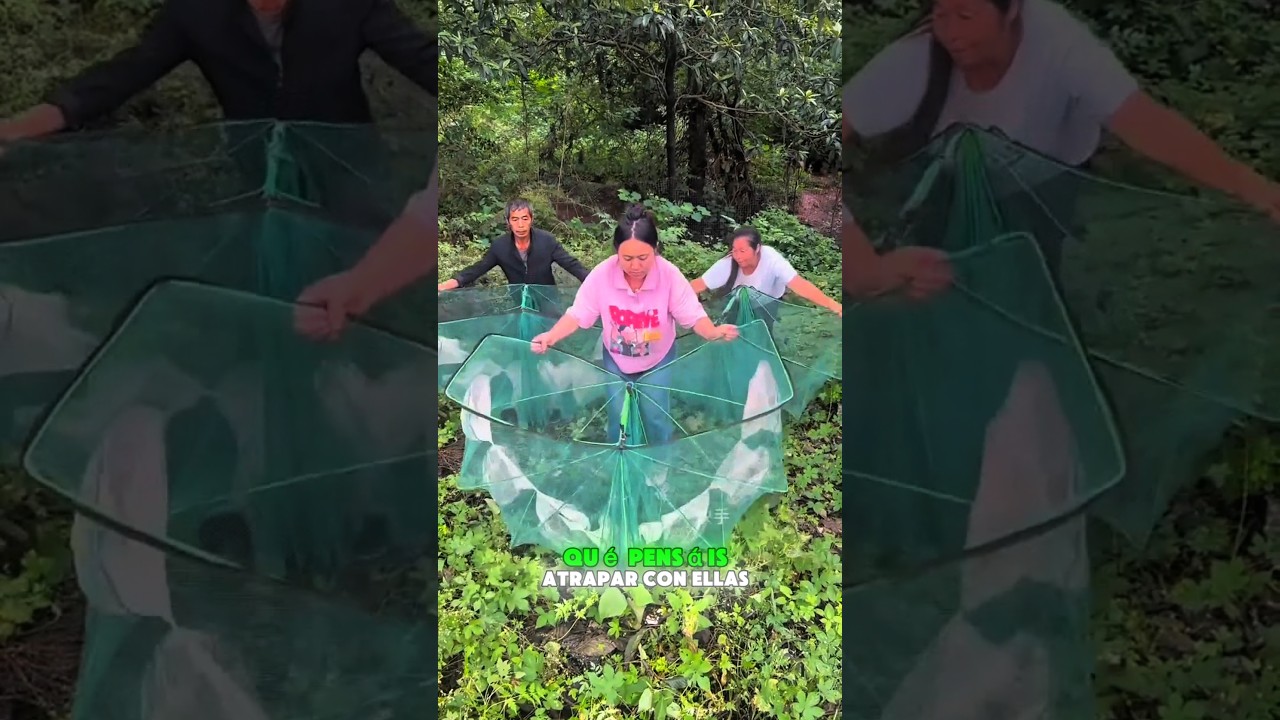 🎣 “Mamá atrapó un pez poniendo maíz en la red”😱🤯