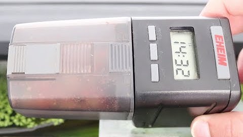 Review: Comedero automático Eheim || AquaTips