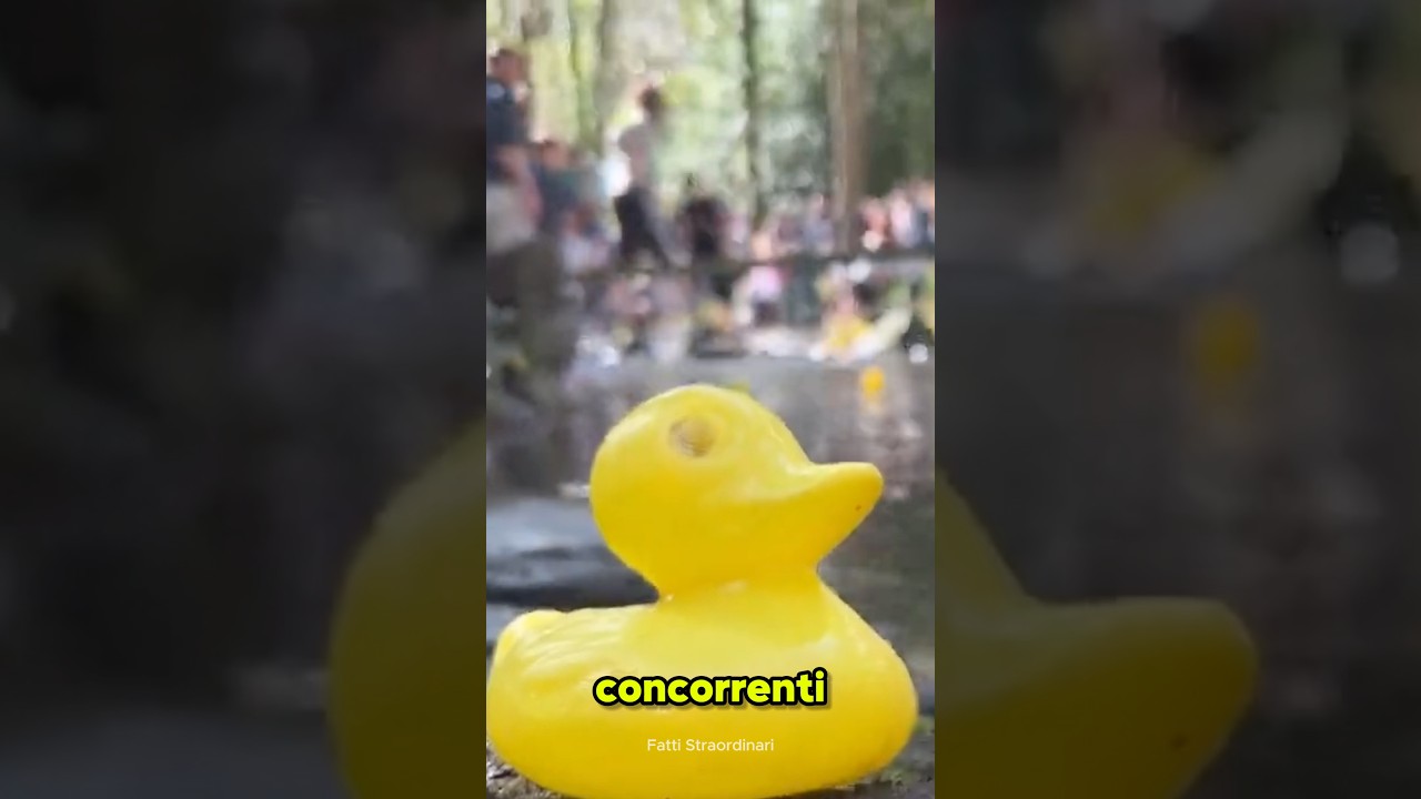 La gara di 100 metri più assurda d’Europa: corsa di paperelle! 🦆