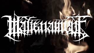 MALIGNAMENT (fin) DEMO I (official)