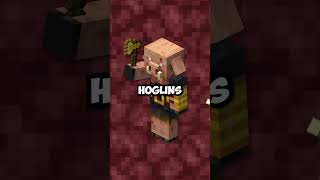 The Trick Speedrunners Use to Find Everything They Need