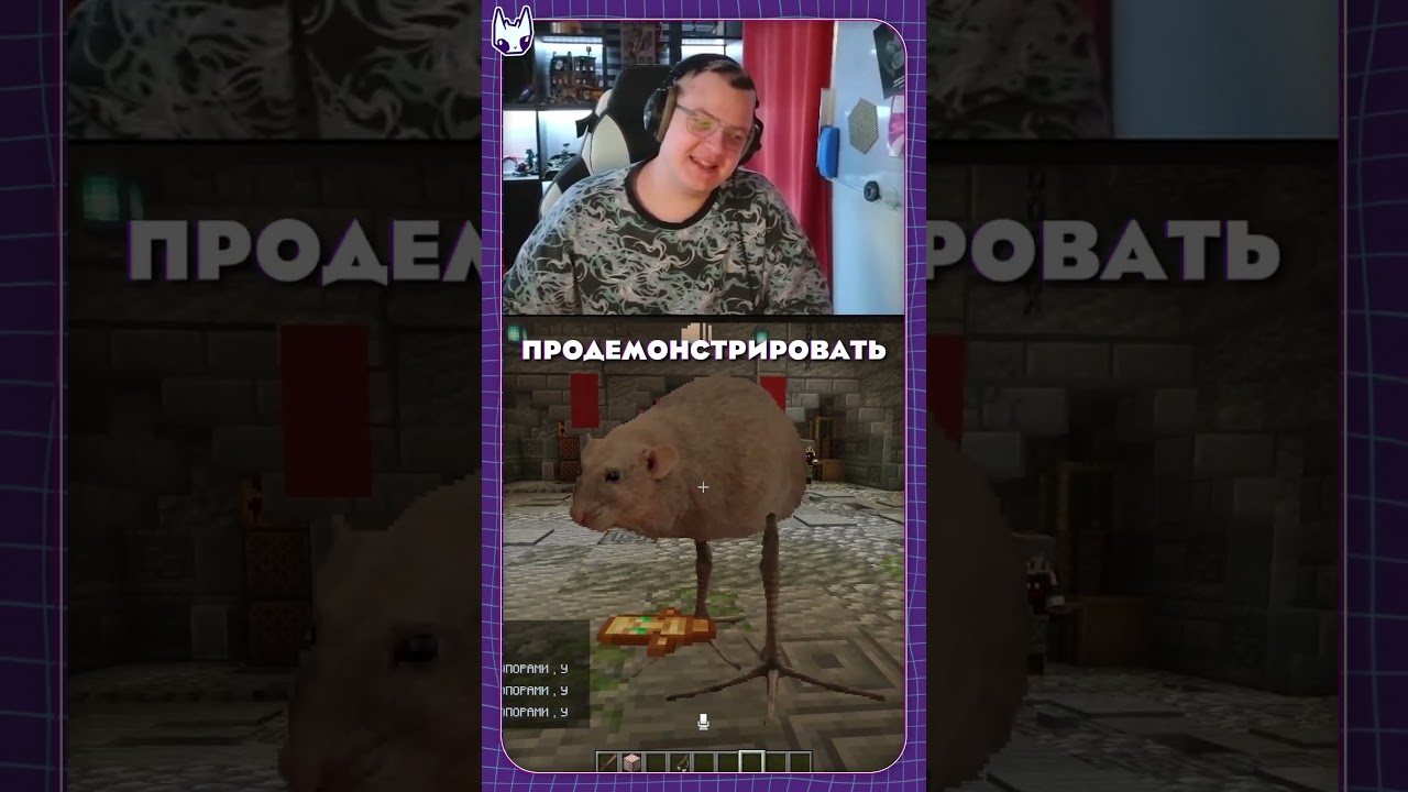 twitch: 5opka Крысоногий с кучей личностей