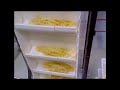 pasta in tray food