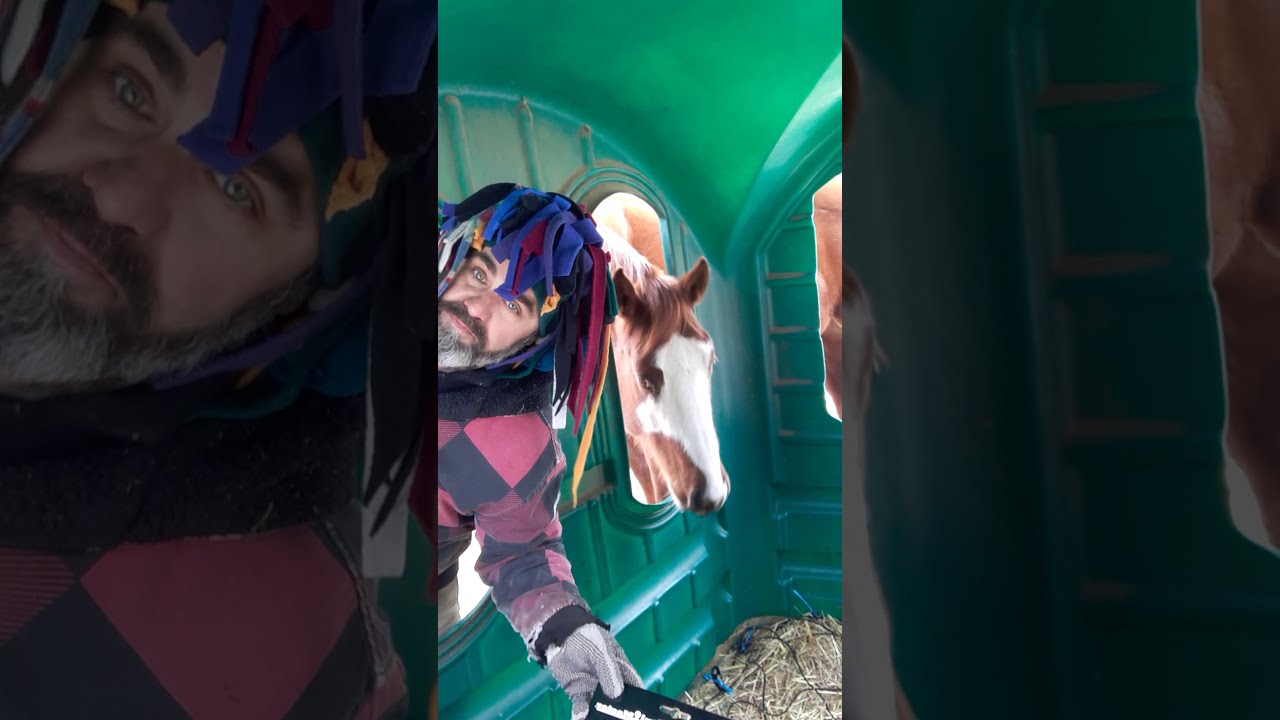 Slow Feed Hay Net Hack Part 1