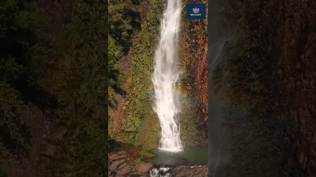 Meditation for Mental Clarity &ndash; Clear the Clutter 🧠✨