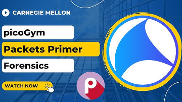 picoGym (picoCTF) Exercise: Packets Primer