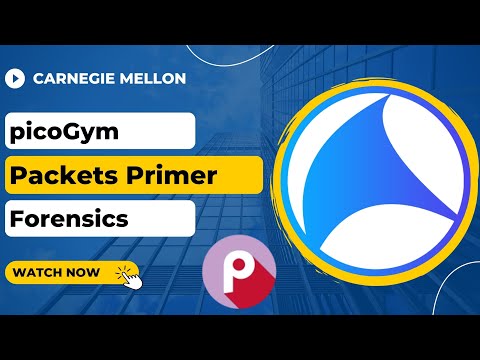 picoGym (picoCTF) Exercise: Packets Primer