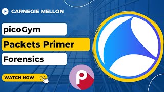 picoGym (picoCTF) Exercise: Packets Primer