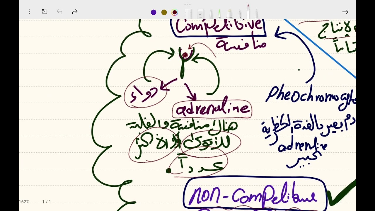 فارما الچابتر السابع//وزاري//كلية الصيدلة// adrengic antagonists 