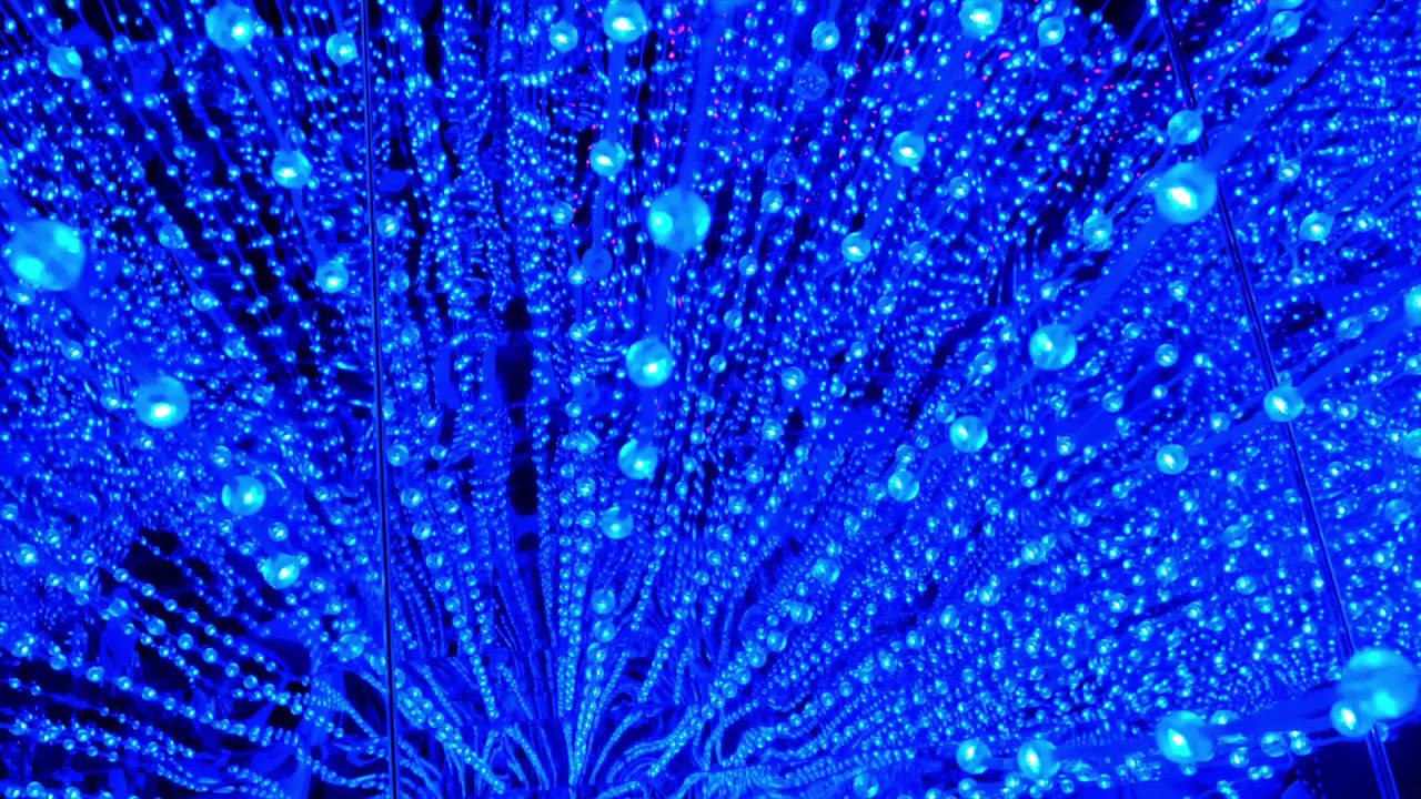 Floating Gate - Ambient Session With Arturia Minibrute 2S