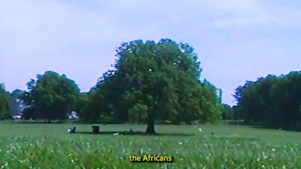 Peckham Voices by Felix Taylor