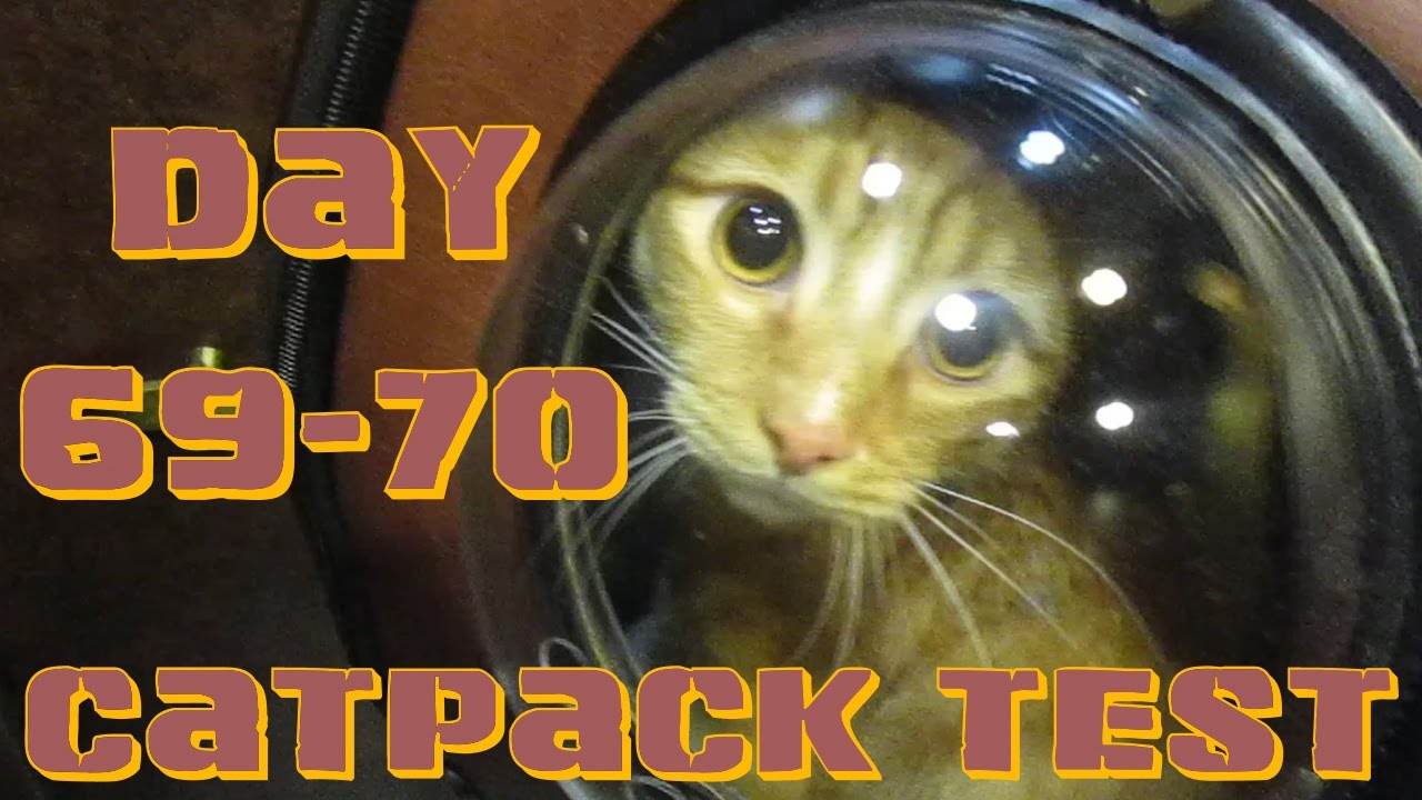 Joey's Fitness Vlog 69-70 | Catpack Test