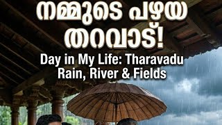 🌧️ മഴയും പാടവും തോടും | തറവാട്ടിലെ ഒരു മനോഹര ദിവസം ❤️ | Malayalam Family Story @shafaniyanaas  screenshot 4