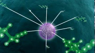 Publish Your Achievements in 3D Cell Culture