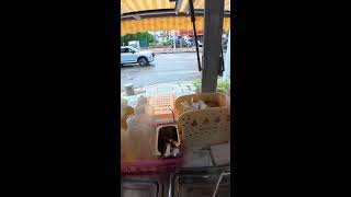 egg sandwiches Live Now 2026-07-05 05:12:23 screenshot 4