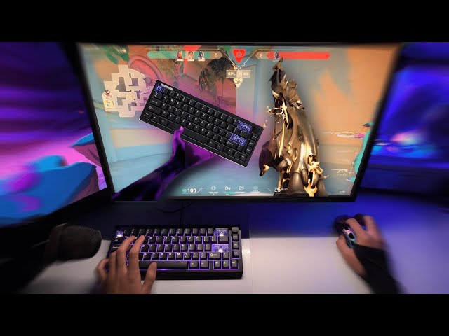 magcore65 lite is good VALORANT POV ASMR