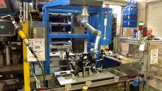 Cognex InSight Cobot Inspection