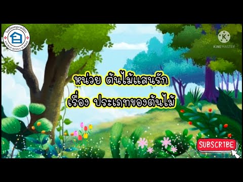 หน่วยต้นไม้แสนรัก เรื่องประเภทของต้นไม้