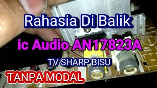 SHARP AV Multi System TV Mute Sound_Audio IC AN17823A