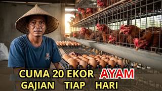 DIREMEHKAN TETANGGA! 20 Ayam ELBA 70 Gram Pakan Kini PANEN TELUR Tanpa Henti