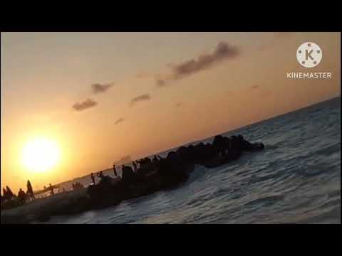 لا للاستسلام منوعات النجاح بامر الله منوعات لى لى وإيمى 