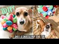 How to make an interactive dog toy Sniff & Snuffle Pup Star