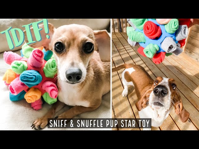 DIY Slinky Dog Snuffle Toy