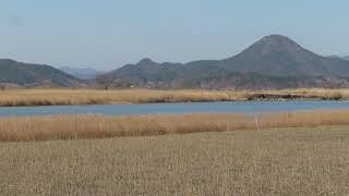 1080402順天灣濕地-1(1)