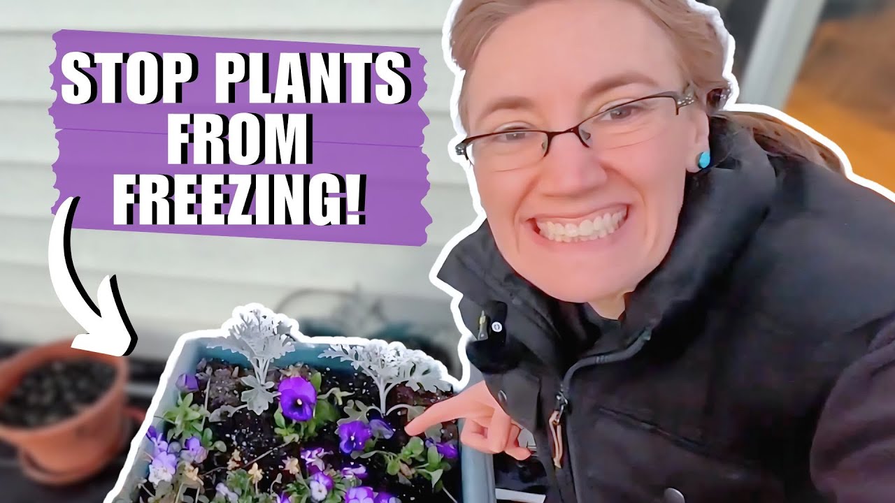 How to Keep Plants from Freezing - YouTube