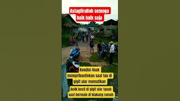 seorang an4k berumur 6 tahun di gigit ualar saat bermain diblakang rumah
