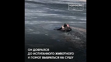 Мурманские герои не носят плащи, а надевают водолазный костюм
