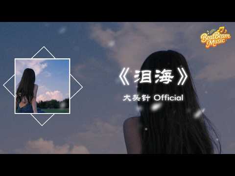 淚海 - 大頭針 Official『你怎麽舍得讓我的愛流向海 傷心的往事一幕幕就像潮水』【動態歌詞MV】