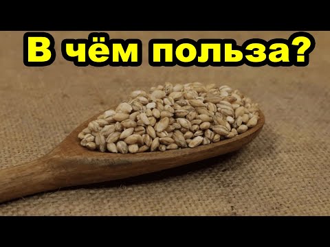 В чём польза ячменя для организма человека?