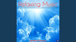 Spa Music Radio