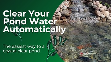 The secret to keep your pond crystal clear - Aquascape Automatic Dosing system