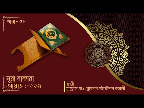 সূরা বাকারা ২২৯ আয়াত || সুললিত কন্ঠে তেলাওয়াতুল কুরআন