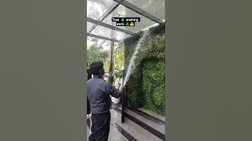 tree 🎄 washing work @FacilitiesCleaningservice #cleaning #tree #washing #office #subscribe #youtube