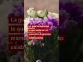 "No eres mi hermana": las peleas por la guerra que dividen familias en Irán