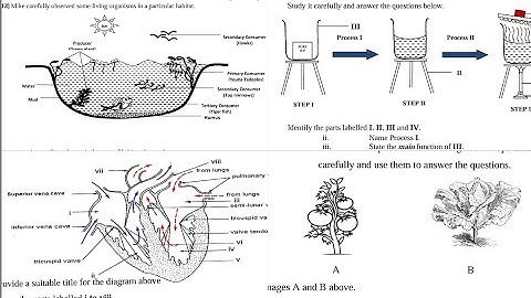 All Integrated Science PRACTICAL Questions for WASSCE and NOVDEC Candidates