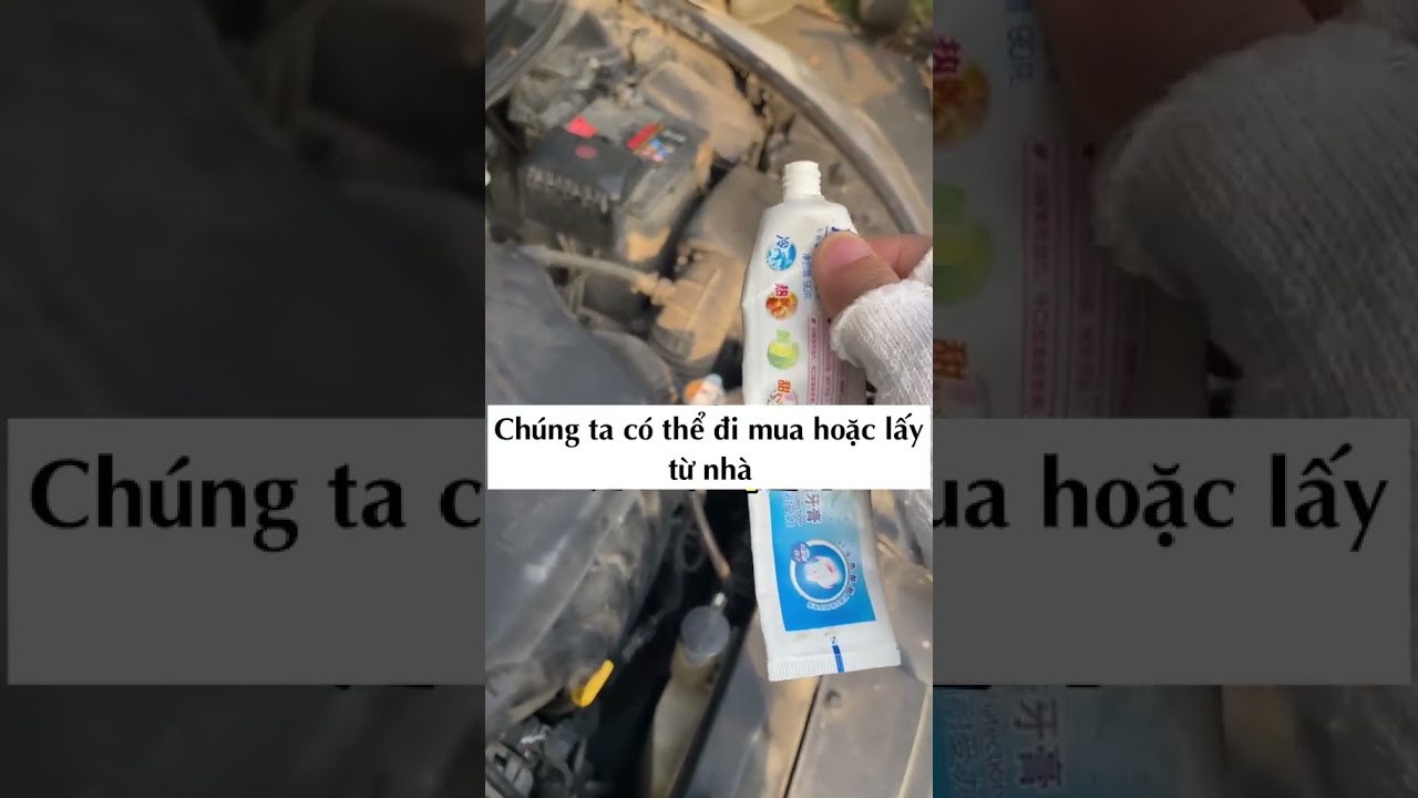 fb appvn Cách để ngăn chuột vào khoang máy ô tô