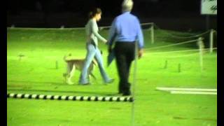 Seekback UD Obedience - Ruby - 9 Dec 2011