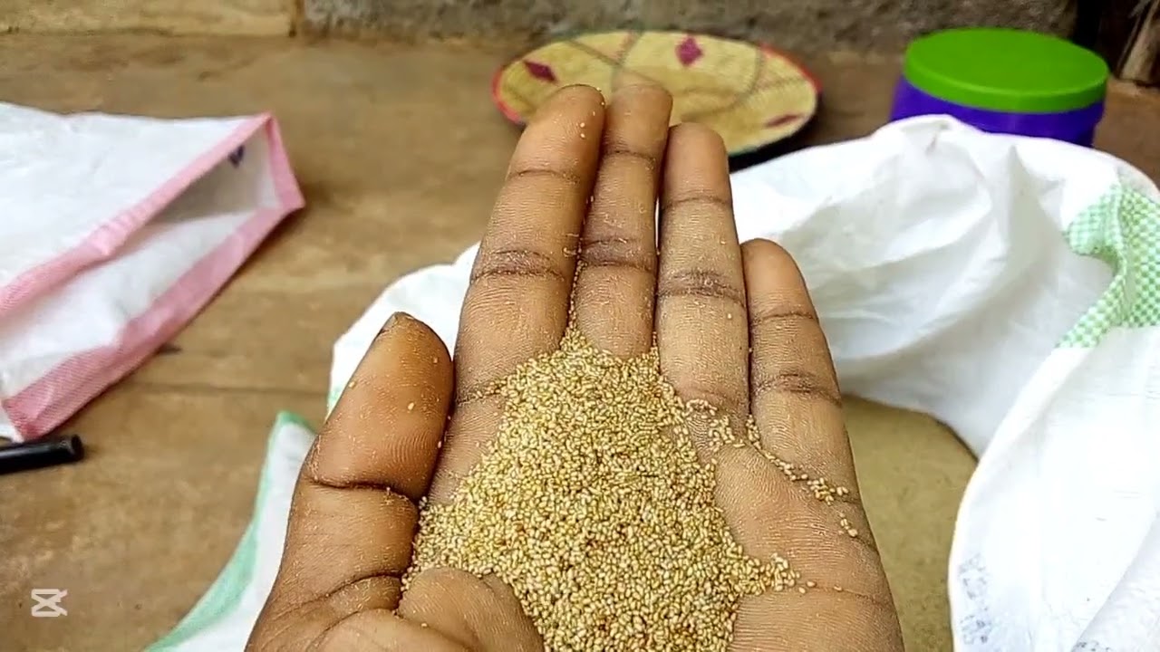 Oolmaa koo Guyyaa Ardhaa xafiin Rakasee