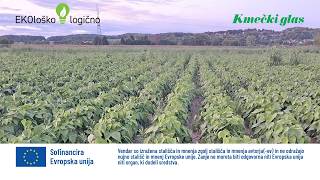 EKOloško = logično: kmetija ZEL