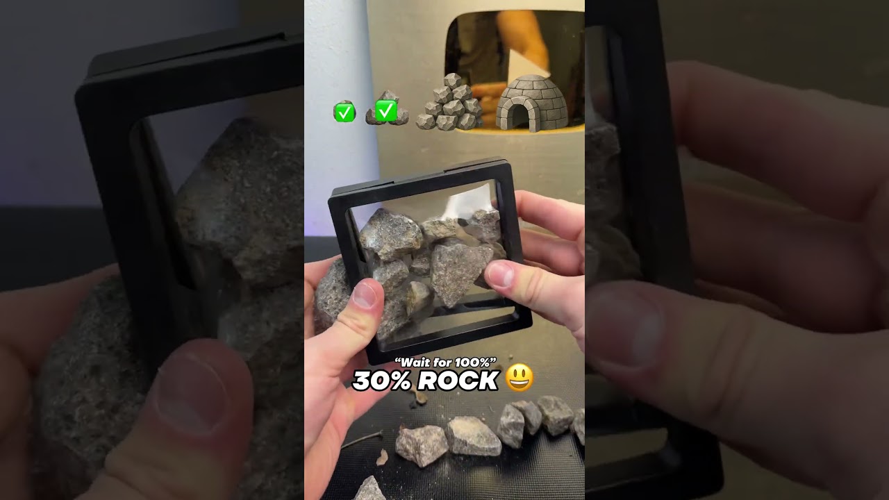 THE ROCK EVOLUTION 🗿