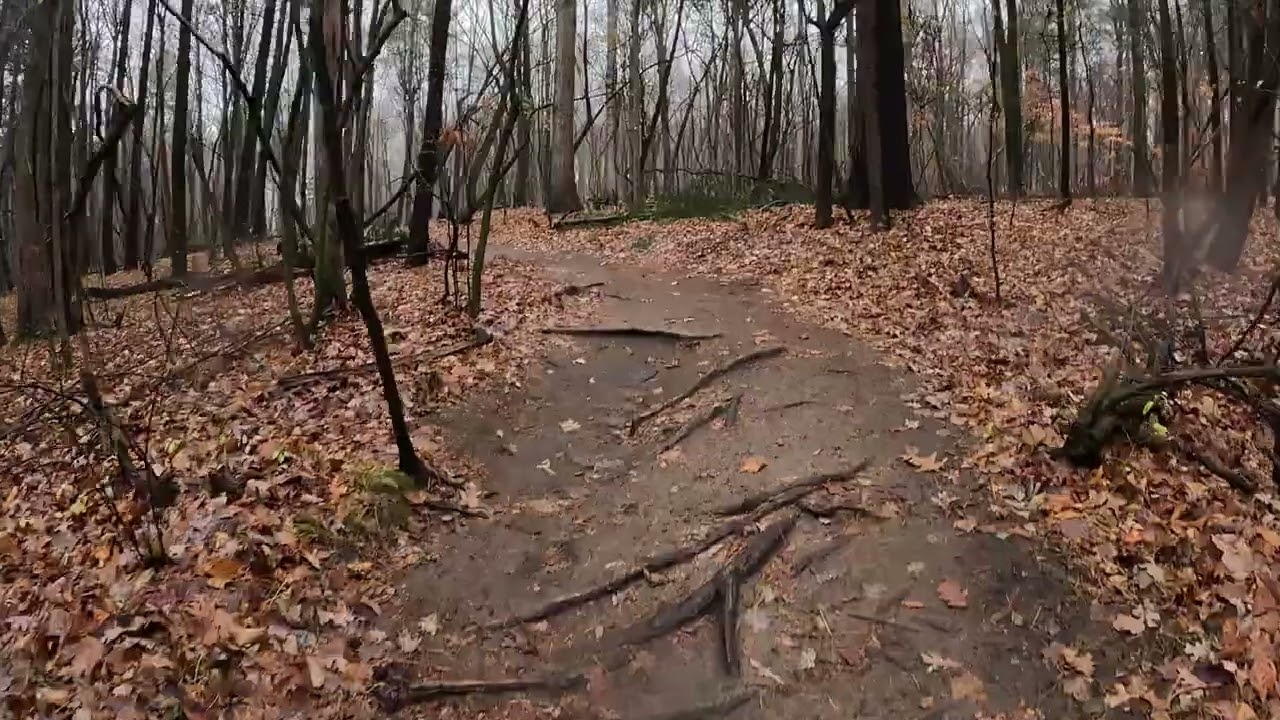 Green Trail at Luton Park, Rainy Fall Hike | Full Hike POV | Hiking ASMR, Nature ASMR | Kent, MI