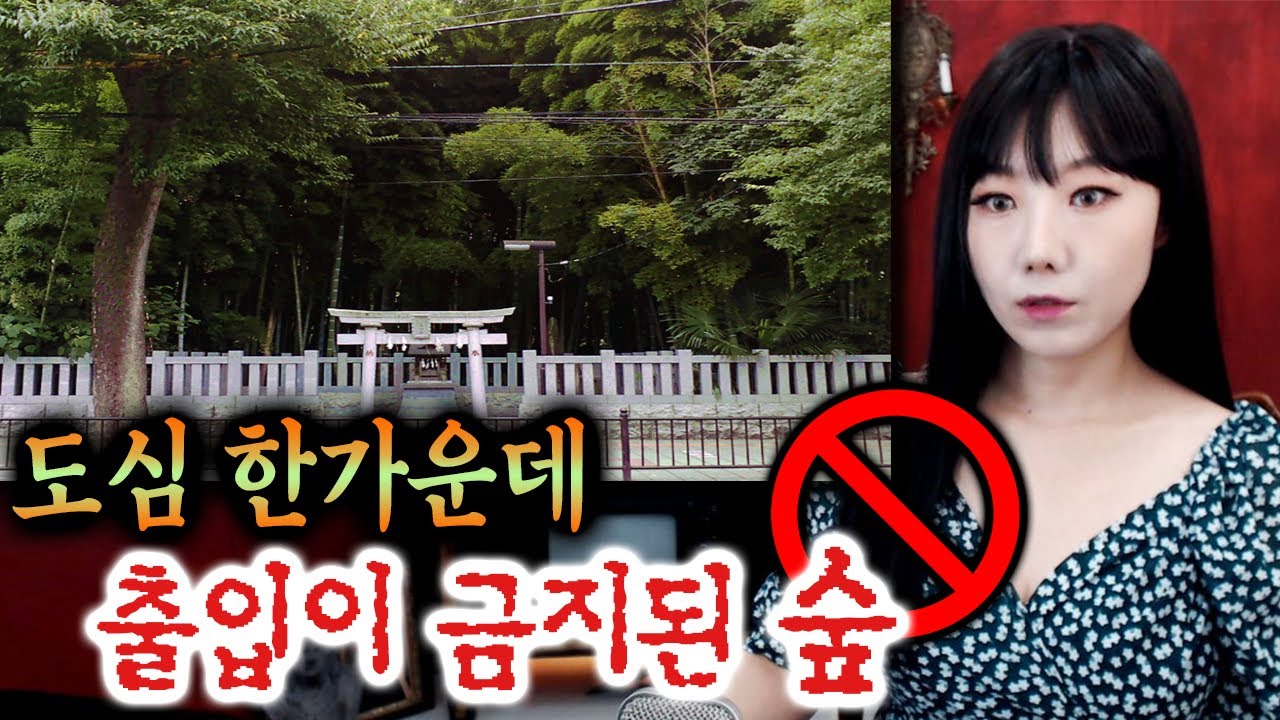 출입이 금지된 도심공원, 들어면 어떤일이 생길까? 야와타노 야부시라즈 | 토요미스테리 | 디바제시카