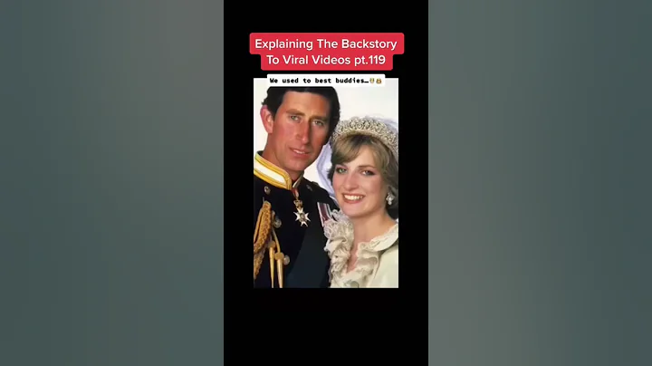 EXPLAINING THE BACKSTORY TO VIRAL VIDEOS!!! (Princ...