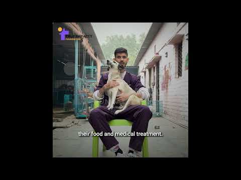 Campaign story video